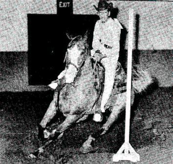 ApHC Hall Of Fame 2000 Nat. Champ. Performance Horse 1971 Nat. champ. Heading and Heeling/1974 Nat.Champ. Rope Race /1978 World Champ. Rope Race/1966/1970/1976